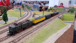 Faszination Modellbahn International Fair for Model Railways, Specials & Accessories Spur N N Club International 02 uai