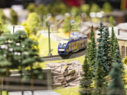 Faszination Modellbahn Internationale Messe für Modelleisenbahnen, Specials & Zubehör csm 3C3A6260 Faszination Modellbahn 2019 05dfadcbe0 uai