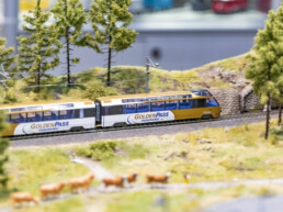 Faszination Modellbahn Internationale Messe für Modelleisenbahnen, Specials & Zubehör csm 3C3A6737 Faszination Modellbahn 2019 7fcd79e9a2 uai