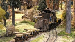 Faszination Modellbahn Internationale Messe für Modelleisenbahnen, Specials & Zubehör csm Spur 2m WSL Co Logging Railway 01 2d38fad13b uai