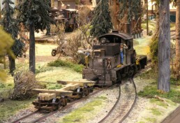 Faszination Modellbahn Internationale Messe für Modelleisenbahnen, Specials & Zubehör csm Spur 2m WSL Co Logging Railway 01 2d38fad13b uai