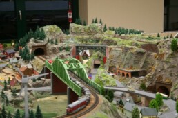 Faszination Modellbahn International Fair for Model Railways, Specials & Accessories Spur TT MBC Guben 02 uai