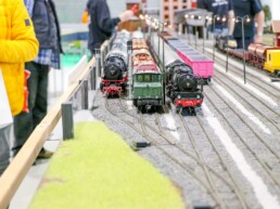 Faszination Modellbahn International Fair for Model Railways, Specials & Accessories Modellbahn Anlagen 2023 34 uai