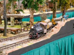 Faszination Modellbahn International Fair for Model Railways, Specials & Accessories Modellbahn Anlagen 2023 40 uai