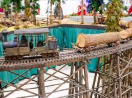 Faszination Modellbahn International Fair for Model Railways, Specials & Accessories Modellbahn Anlagen 2023 7 uai