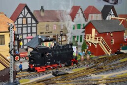 Faszination Modellbahn Internationale Messe für Modelleisenbahnen, Specials & Zubehör MA2025 Spur 2 LGB Freunde Rhein Sieg 02 uai